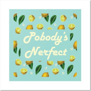 Pobody's Nerfect Posters and Art